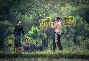 Tiêu đề: 越南北方彩票: 為何它高居榜首？